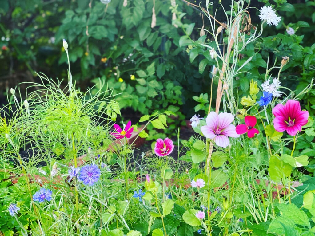 sol hot yoga studio garden