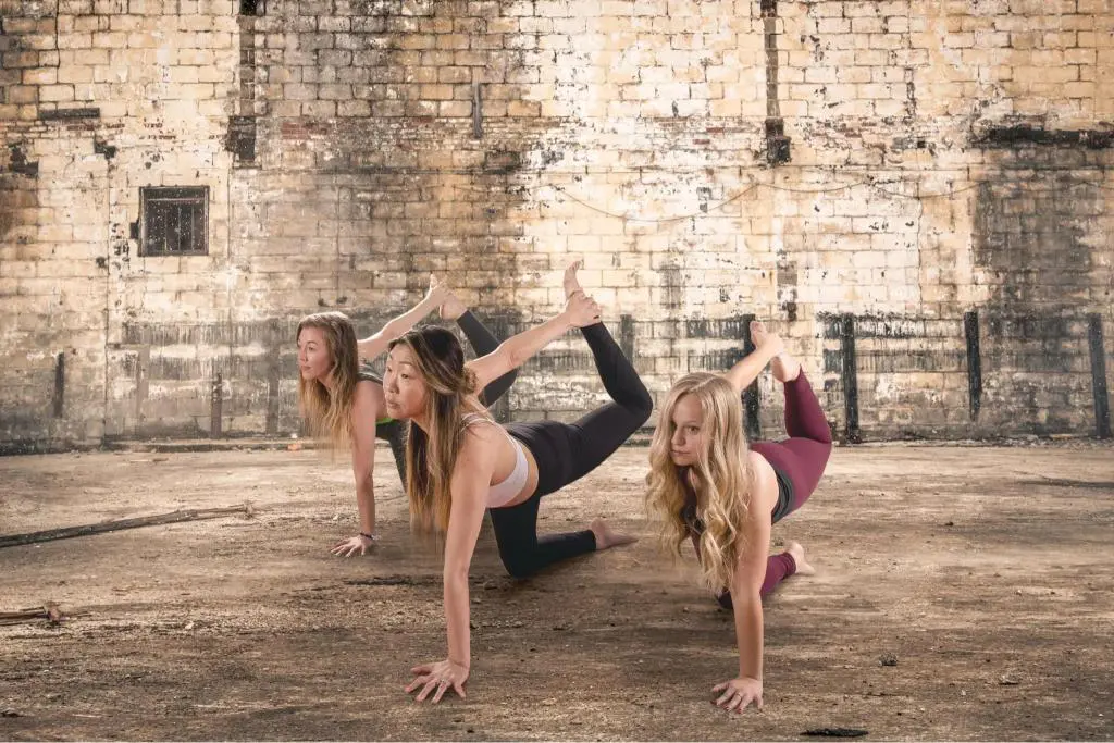 Three Sol Hot Yoga bird dogs