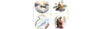 Sol Hot Yoga Studio Divine Abodes: Loving-kindness, Empathy, Shared Joy, Equanimity