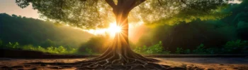 Rooted with Sol Hot Yoga Studio Pelvic Floor health