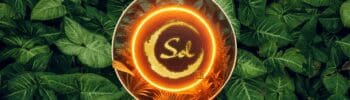 Sol life force energy