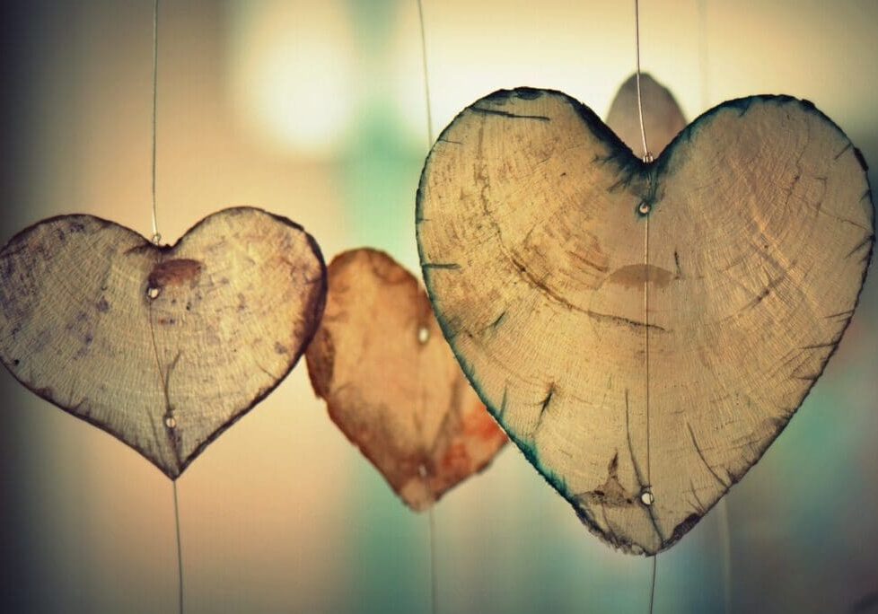 The Heart of Nurture, Nature, and Choice